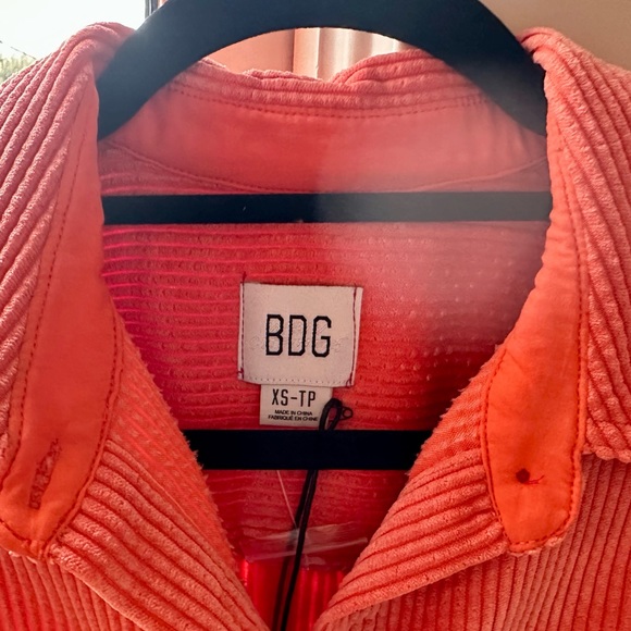 BDG Rodney Corduroy Cropped Button-Down Shirt - Picture 3 of 3